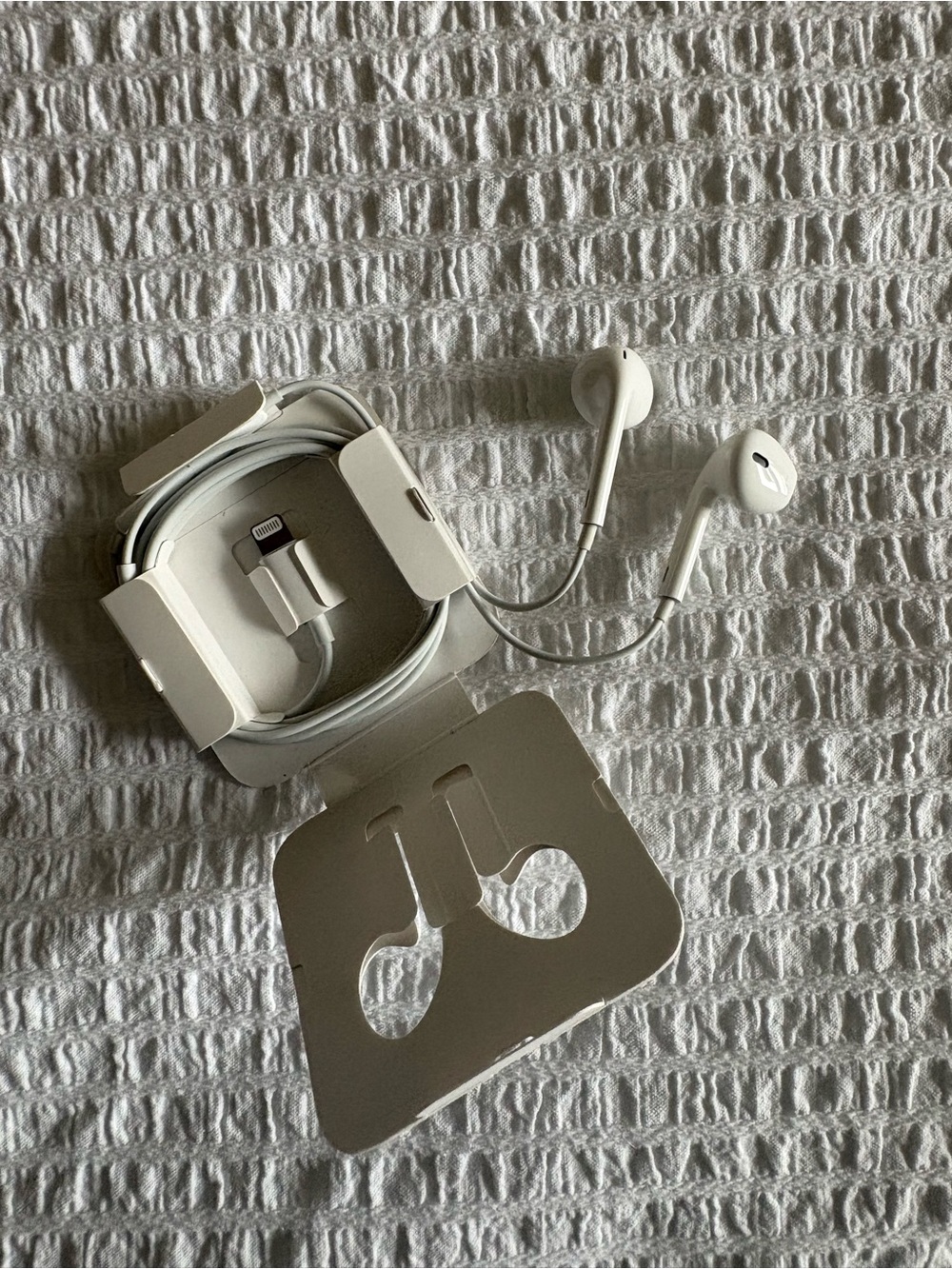 Apple White Headphone